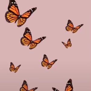 Meet your Posher, Kiyah